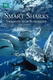 Smart Sharks Swimming With Roboshark' Poster