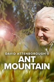 David Attenboroughs Ant Mountain