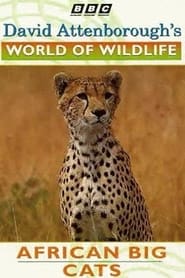 World of Wildlife African Big Cats' Poster