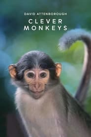 Clever Monkeys' Poster