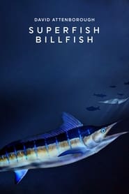 Superfish' Poster