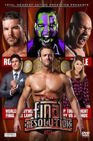 TNA Final Resolution 2013' Poster