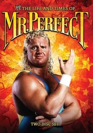 The Life and Times of Mr Perfect' Poster