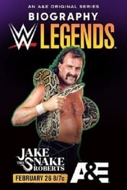 Biography Jake The Snake Roberts' Poster