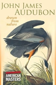 John James Audubon Drawn From Nature' Poster