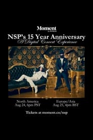 Ninja Sex Partys 15 Year Anniversary Concert' Poster