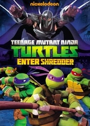 Teenage Mutant Ninja Turtles Enter Shredder' Poster