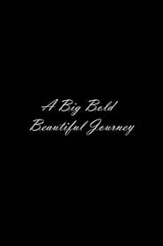 A Big Bold Beautiful Journey' Poster