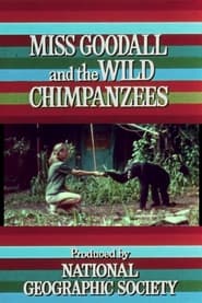 Miss Goodall and the Wild Chimpanzees' Poster