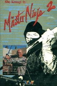 Master Ninja II' Poster