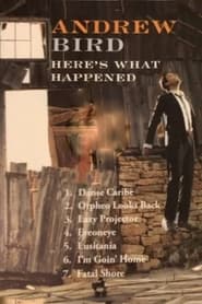 Andrew Bird Heres What Happened' Poster