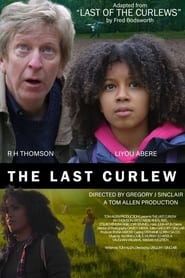 The Last Curlew' Poster