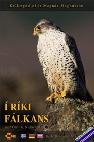 In the Realm of the Gyr Falcon' Poster