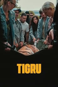 Day of the Tiger' Poster