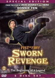 Fist of Fury  Sworn Revenge' Poster