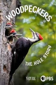 Woodpeckers The Hole Story' Poster