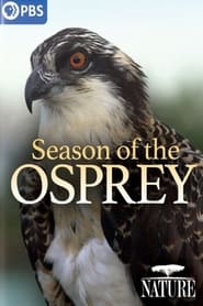 Season of the Osprey' Poster