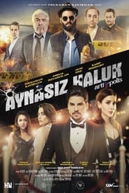 Aynasz Haluk' Poster