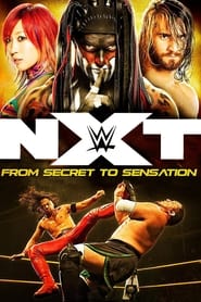 NXT From Secret To Sensation' Poster