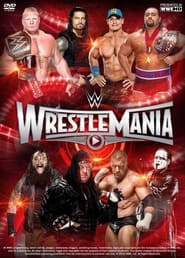 WWE WrestleMania 31  Kick Off' Poster