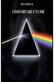 Pink Floyd  Comfortably Numb' Poster