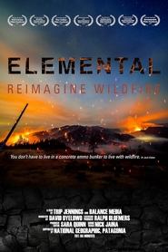 Elemental Reimagine Wildfire' Poster