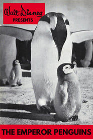 Emperor Penguins' Poster