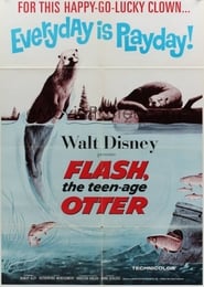 Flash The Teenage Otter' Poster