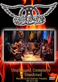 Aerosmith MTV Unplugged