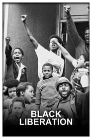 Black Liberation' Poster