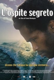 Lospite segreto' Poster