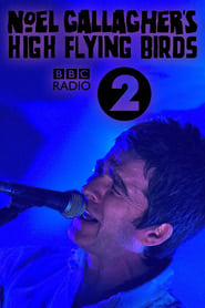 Noel Gallaghers High Flying Birds Live at BBC Radio Theatre' Poster