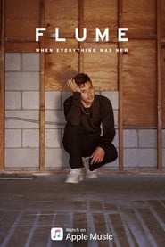 Flume When Everything Was New' Poster