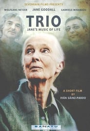 Trio Janes Music of Life' Poster