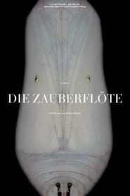 Mozart Die Zauberflte' Poster