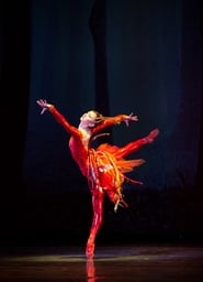 Miami City Ballets The Firebird' Poster