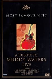 A Tribute to Muddy Waters  Live' Poster