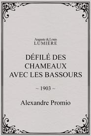 Dfil des chameaux avec les Bassours' Poster