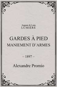 Gardes  pied  maniement darmes' Poster