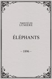 Elephants' Poster