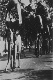 Elephant March in Phnom Penh' Poster