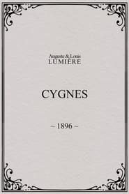 Cygnes' Poster