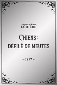 Chiens  dfil de meutes' Poster