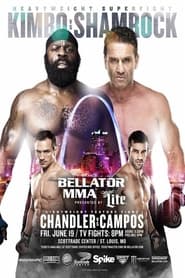 Bellator 138 Unfinished Business' Poster