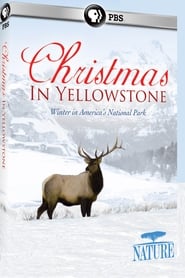 Christmas in Yellowstone' Poster