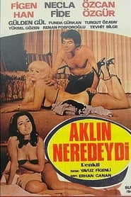 Akln Neredeydi' Poster