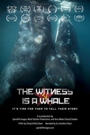 The Witness is a Whale' Poster