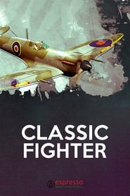 Classic Fighter' Poster