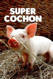 Super cochon' Poster