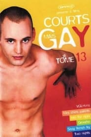 Courts mais Gay  Tome 13' Poster